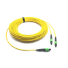Scheda Tecnica: NVIDIA Passive Fiber Cable, Smf, Mpo12 APC To 2xmpo12 APC - 5m