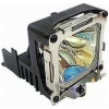 Scheda Tecnica: BenQ Lampada Proiettore - Per BenQ Tw523p