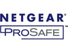 Scheda Tecnica: Netgear Prosafe - Gsm7328fs L3 Lic Upgr. For Ipv6 Dynamic Routing