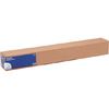 Scheda Tecnica: Epson Carta Fotografica - Lucida 60.96cm X 30.5m Redolo