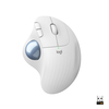 Scheda Tecnica: Logitech Ergo M575 - - Offwhite - Emea