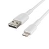 Scheda Tecnica: Belkin Cavo In Pvc Da USB-a A Lightning - 2m - Bianco