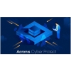 Scheda Tecnica: Acronis Cyber PRedect Adv. Workstation Subscr. Lic - 1Y Rnwl. Gesd-multi-lingual Level Any