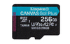 Scheda Tecnica: Kingston 256GB Msdxc Canvas Go Plus 170r A2 U3 V30 Single - Pack W/o Adptr