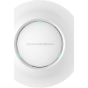 Scheda Tecnica: Grandstream Wireless Access Point GWN7605 - 