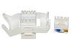 Scheda Tecnica: LINK Presa Rete Keystone Jack RJ45 Cat.6 - UTP Tooless Colore Bianco 180?ontatti Dorati 50 Micron