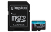 Scheda Tecnica: Kingston Canvas Go! PLUS - 512GB, Class 10, UHS-I, U3, V30 A2, exFAT