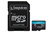 Scheda Tecnica: Kingston Canvas Go! PLUS - 64GB, Class 10, UHS-I, U3, V30 A2, exFAT