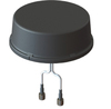 Scheda Tecnica: Cisco ANT-2-4G2-O= Cellular 2-in-1 Vehicle Mount and Fixed - Infrastructure Antenna