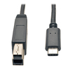 Scheda Tecnica: EAton USB 3.1 Gen 2 Cable 10GBps - 