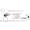 Scheda Tecnica: SilverStone SST-CPU02G Mobile Accessories - Unique 2" 1 micro-B And USB Type combo connector, Gold