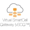 Scheda Tecnica: Ruckus Virtual Smartzone Gateway 3.0 Or Newer SW - Virtual Appliance,1"stance,1ap Lic Included
