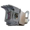 Scheda Tecnica: BenQ Lamp For Tk810tk810 /tk850 . Ns - 