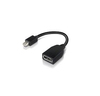 Scheda Tecnica: Lenovo Mini Dp(m)/full Size(f) For ThinkPad Notebooks - 