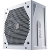 Scheda Tecnica: CoolerMaster V750 Gold-V2 White Edt. 750 W, ATX 12V - V2.52, APFC, ATX 24 Pin / EPS 4+4 Pin / EPS 8 Pin / SATA /