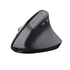 Scheda Tecnica: Trust mouse BAYO+ ERGONOMIC WIRELESS - 