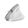 Scheda Tecnica: Trust mouse BAYO+ ERGONOMIC WIRELESS - WHT