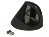 Scheda Tecnica: Delock mouse Ergonomic USB vertical - wireless - 