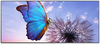 Scheda Tecnica: Sharp/NEC Fe009i2-104Indoor LED Bundle Fe Series 104'' - 2560x1080, 21