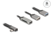 Scheda Tecnica: Delock 2 Port USB Hub Including Sd And Micro Sd Card Reader - With USB Type-c Connector