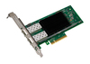 Scheda Tecnica: Intel E810-xxvda2 Server ADApter Single Bulk - 