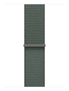 Scheda Tecnica: Apple Band 40 - Sage Sl