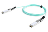 Scheda Tecnica: DIGITUS Cavo Fiber Aoc QSFP+ 40g - 30 M