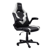 Scheda Tecnica: Trust Gxt703w Riye Gaming Chair White - 
