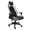 Scheda Tecnica: Trust Gxt714r Ruya Gaming Chair White - 