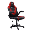 Scheda Tecnica: Trust Riye Gaming Chair Red - 