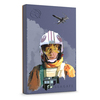 Scheda Tecnica: Seagate Firecuda Luke Skywalker 2TB 2.5in Ext Gaming HDD - Star Wars
