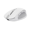 Scheda Tecnica: Trust Mouse OZAA COMPACT WIRELESS WHT IN - 