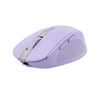 Scheda Tecnica: Trust Mouse OZAA COMPACT WIRELESS PURPLE IN - 