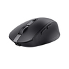 Scheda Tecnica: Trust Mouse OZAA COMPACT WIRELESS IN - 