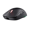 Scheda Tecnica: Trust Mouse GXT927 REDEX+ HIGH PERF WRLS IN - 