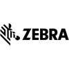 Scheda Tecnica: Zebra 8100t Cryocool 30x15mm Box Of 3 Lab Polyester Perm - Adh 25mm Core
