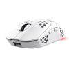 Scheda Tecnica: Trust Mouse GXT929W HELOX WIRELESS LIGHTWEIGHT WHITE IN - 
