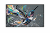 Scheda Tecnica: Philips 50BDL3650QE/00 50" 16:9 3840 X 2160 300cd/m 4000:1 - 8ms HDMI