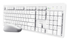 Scheda Tecnica: Trust Keyboard ODY II WL MOUSE WHT US US - 