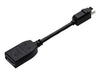 Scheda Tecnica: PNY Mini DisplayPort to DisplayPort ADApter - 