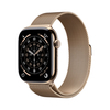 Scheda Tecnica: Apple Watch - 11 46 Gd Ti Gd M Sm Ce-fdn