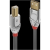 Scheda Tecnica: Lindy Cavo USB 2.0 - Tipo A B Cromo Line 0.5m