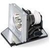 Scheda Tecnica: Acer Lamp Module - FP5205