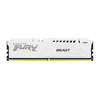 Scheda Tecnica: Kingston 16GB DDR5-5600MHz - C40 Dimm Fury Beast White Xmp