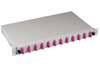 Scheda Tecnica: IC INTRACOM OEM Cassetto Ottico 19'' Assembato Con 12 - Bussoe E 24 Pigtais Sc Dupex Mutimodae Om4