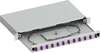 Scheda Tecnica: Techly Cassetto Ottico 19'' Scorrevoe Con 12 Bussoe E 24 - Pigtais c Dupex Mutimodae AM4 Grigio