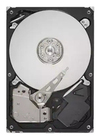 Scheda Tecnica: Lenovo Thinksystem - HDD - Crittografato - 10TB - Hot Swap - 3.5" ff - SAS 12GB/s - N - 7200 RPM -