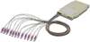 Scheda Tecnica: IC INTRACOM Oem Cassetta Di Giunzione Attrezzata Con 12 - Pigtail Fibra Multimodale Om4 Lc 50/125 2m