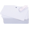 Scheda Tecnica: Evolis Plastic Cards - 100 Pcs