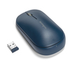 Scheda Tecnica: Kensington Mouse Wireless Doppio Suretrack - Blu - 